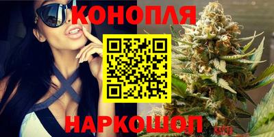 PSILOCYBIN Рязань